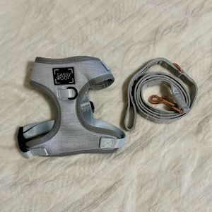 Sassy Woof Gray Harness and Leash